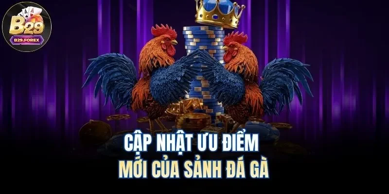 Cập nhật ưu điểm mới của sảnh đá gà