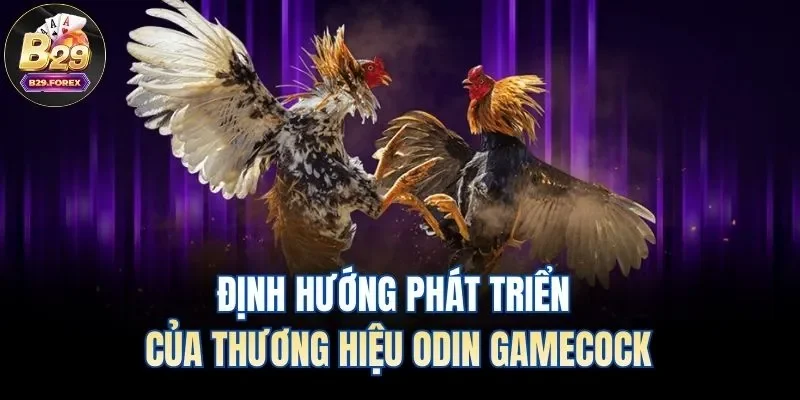 Định hướng phát triển của thương hiệu Odin Gamecock