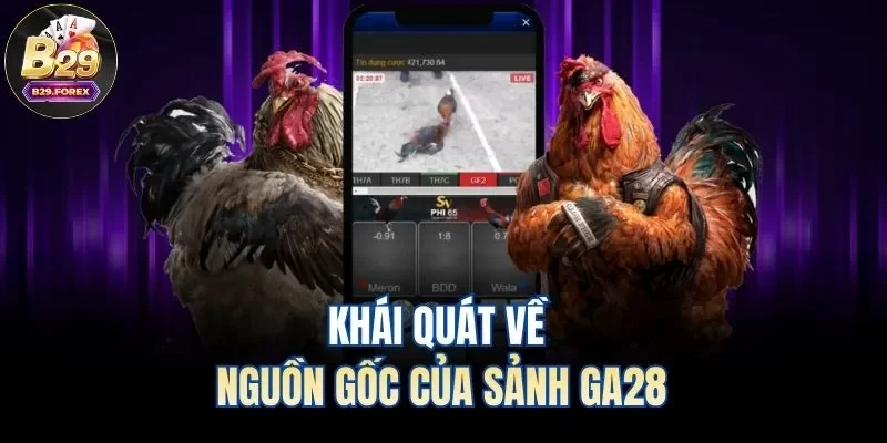 Khái quát về nguồn gốc của sảnh GA28