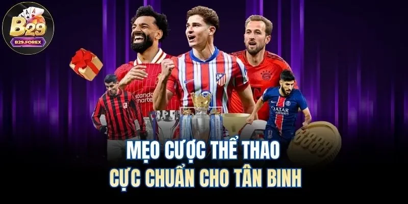 Mẹo cược thể thao cực chuẩn cho tân binh