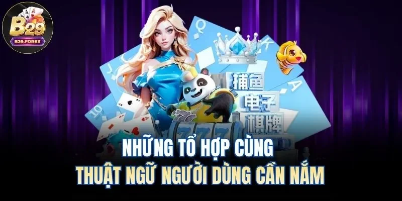 Những tổ hợp cùng thuật ngữ người dùng cần nắm