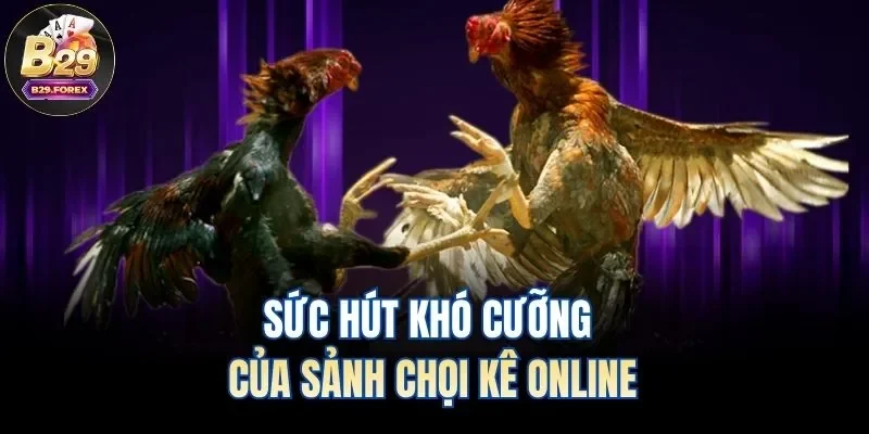 Sức hút khó cưỡng của sảnh chọi kê online